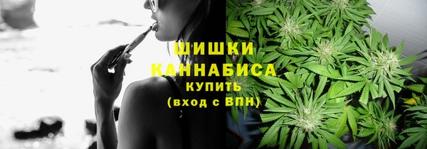 индика Вязники